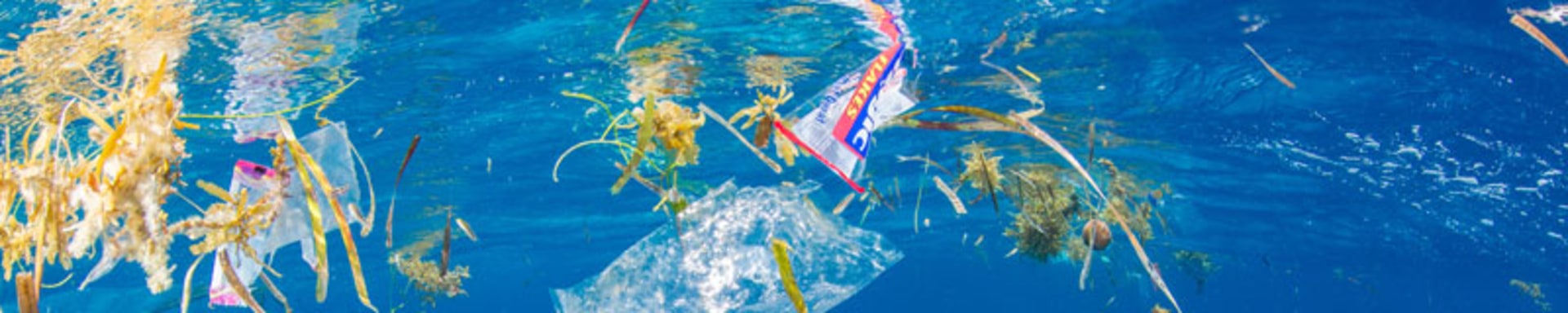 plastic_ocean_teaser-image