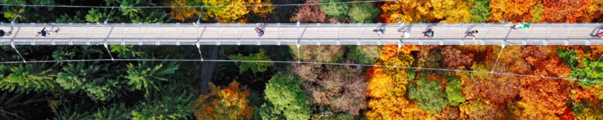 vorsorge_kampagne_vorsorgegelder_teaser-image