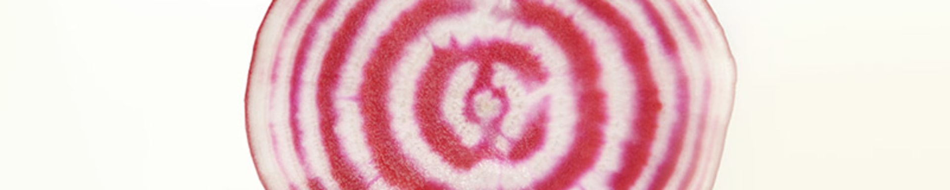 un-budget-simulation_article-teaser_800x450px