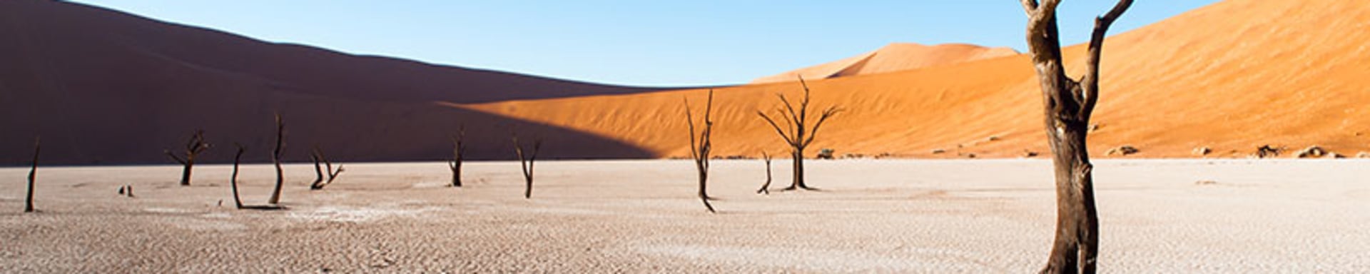 wasser-sparen-in-der-wasserkrise-hilft-gegen-klimawandel_artikel-teaser_800x450px_c