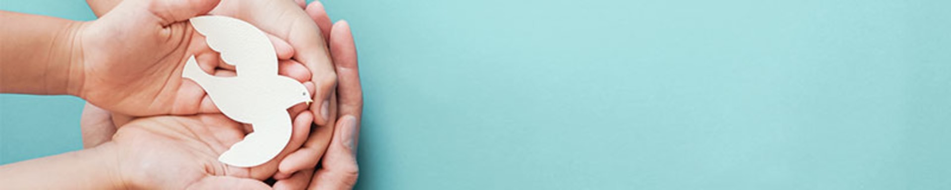 20221121_icrc_fundraising_initiative_teaser_1200x338px