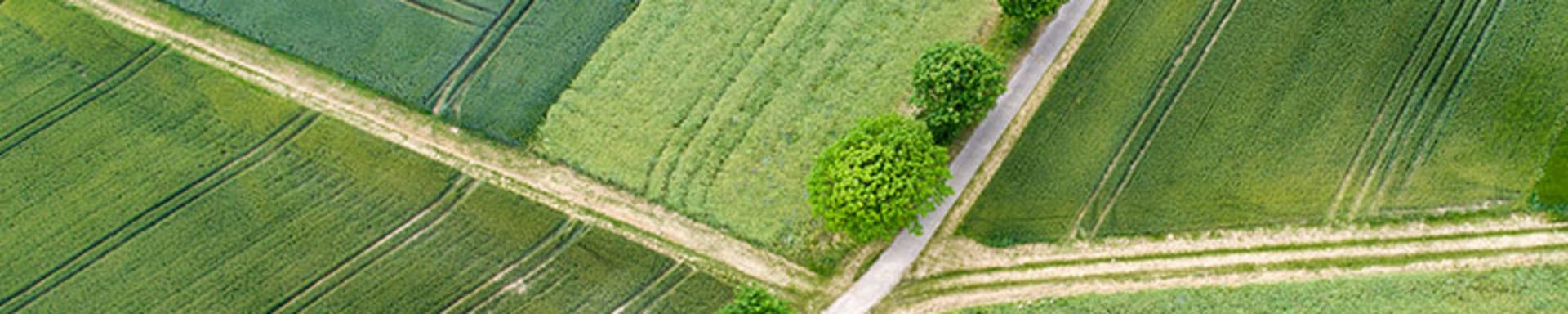 A bird's eye view of green land symbolizes the occupational benefit scheme (BVG21)