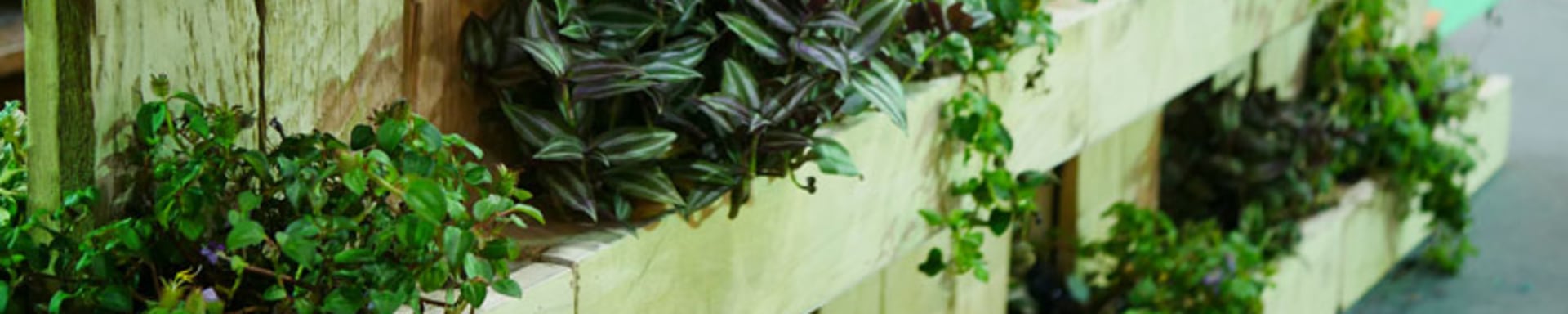 food-day_teaser-image