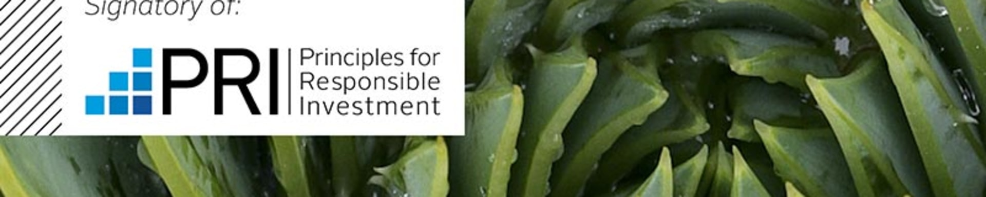 pri-reporting-teaser2