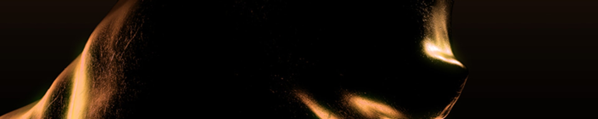 bulls-on-a-copper-high-why-commodity-prices-are-rising_article-teaser_800x450px_en