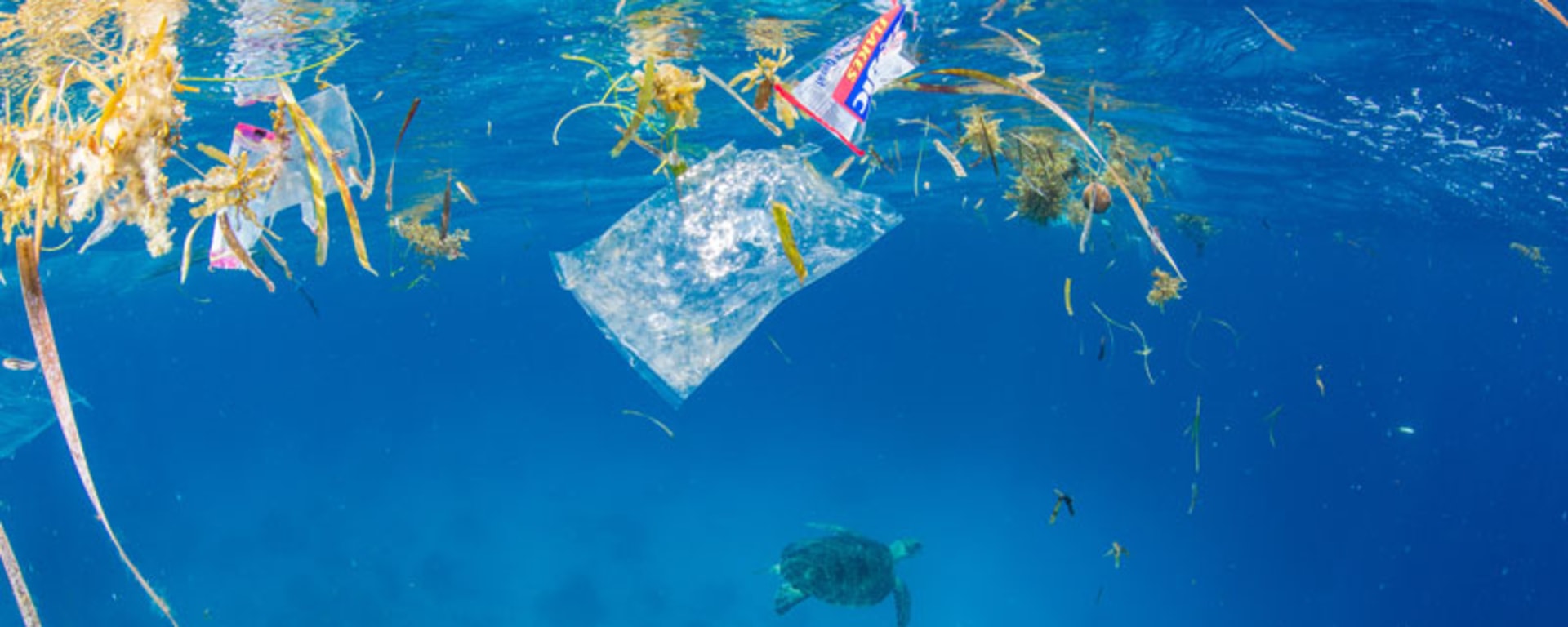 plastic_ocean_teaser-image