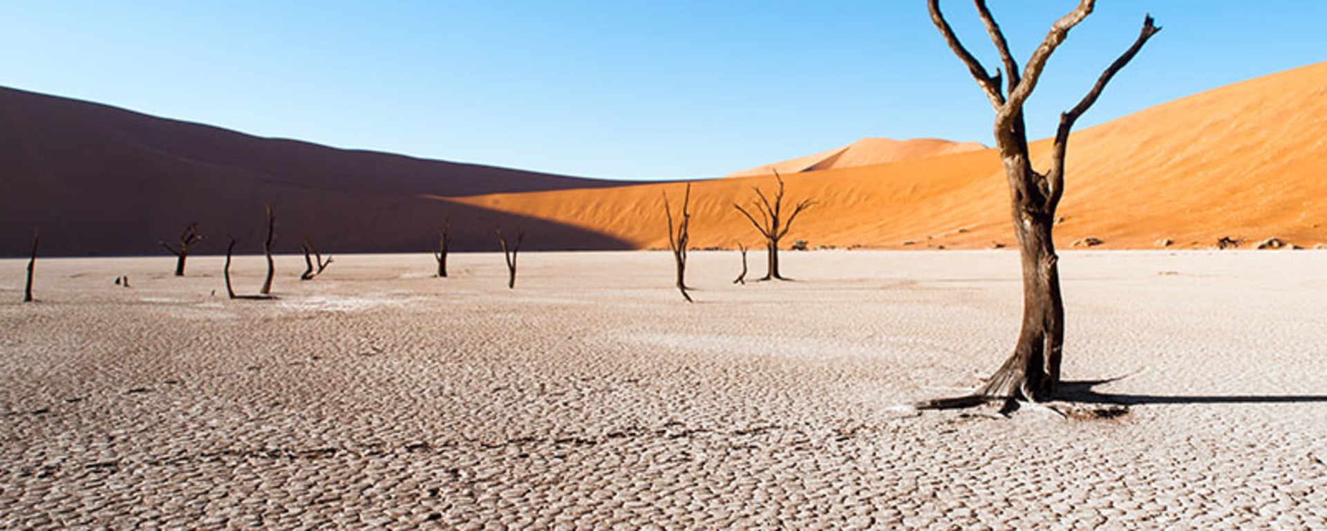 wasser-sparen-in-der-wasserkrise-hilft-gegen-klimawandel_artikel-teaser_800x450px_c