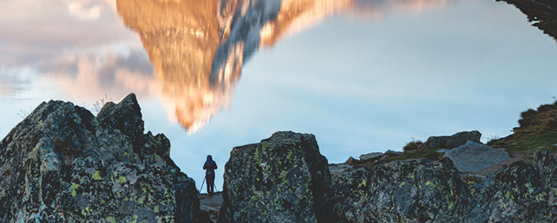 aktientrends-schweiz-gewinner-vs-verlierer_artikel-teaser_800x450px