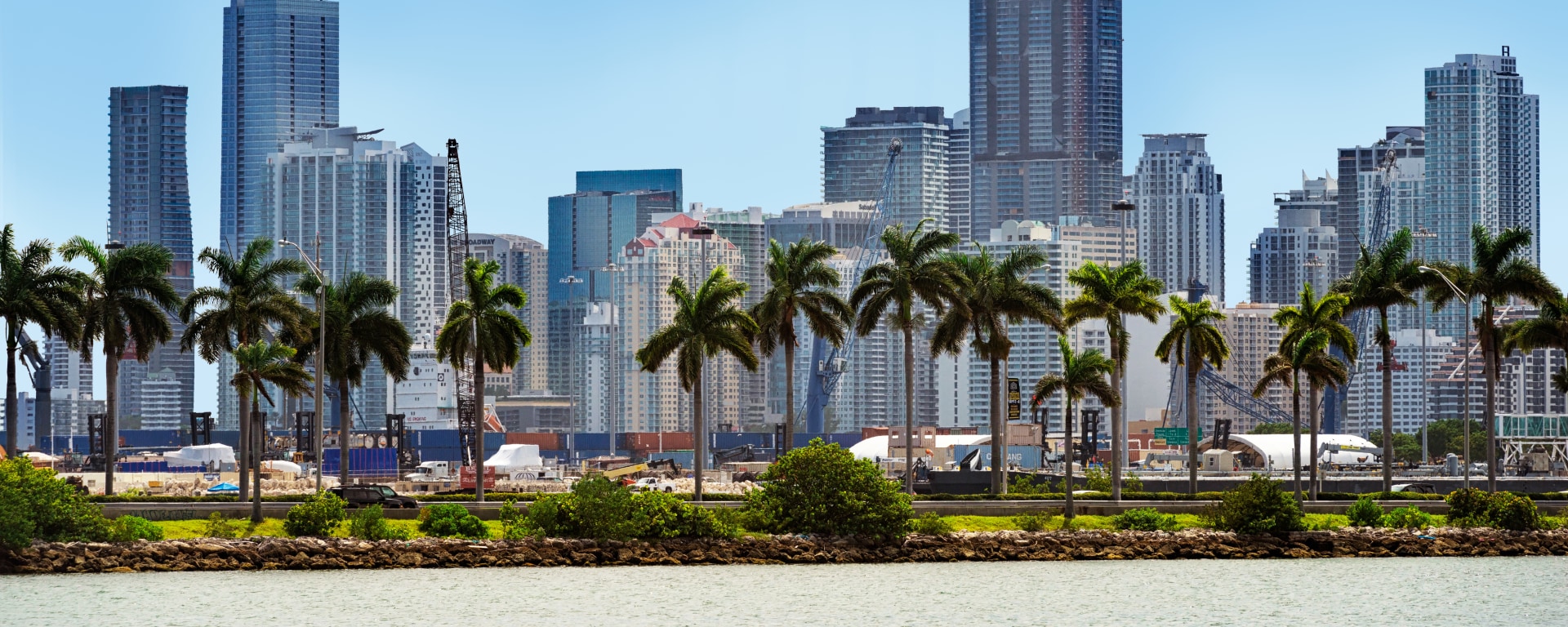 Skyline von Miami mit Palmen im Vordergrund