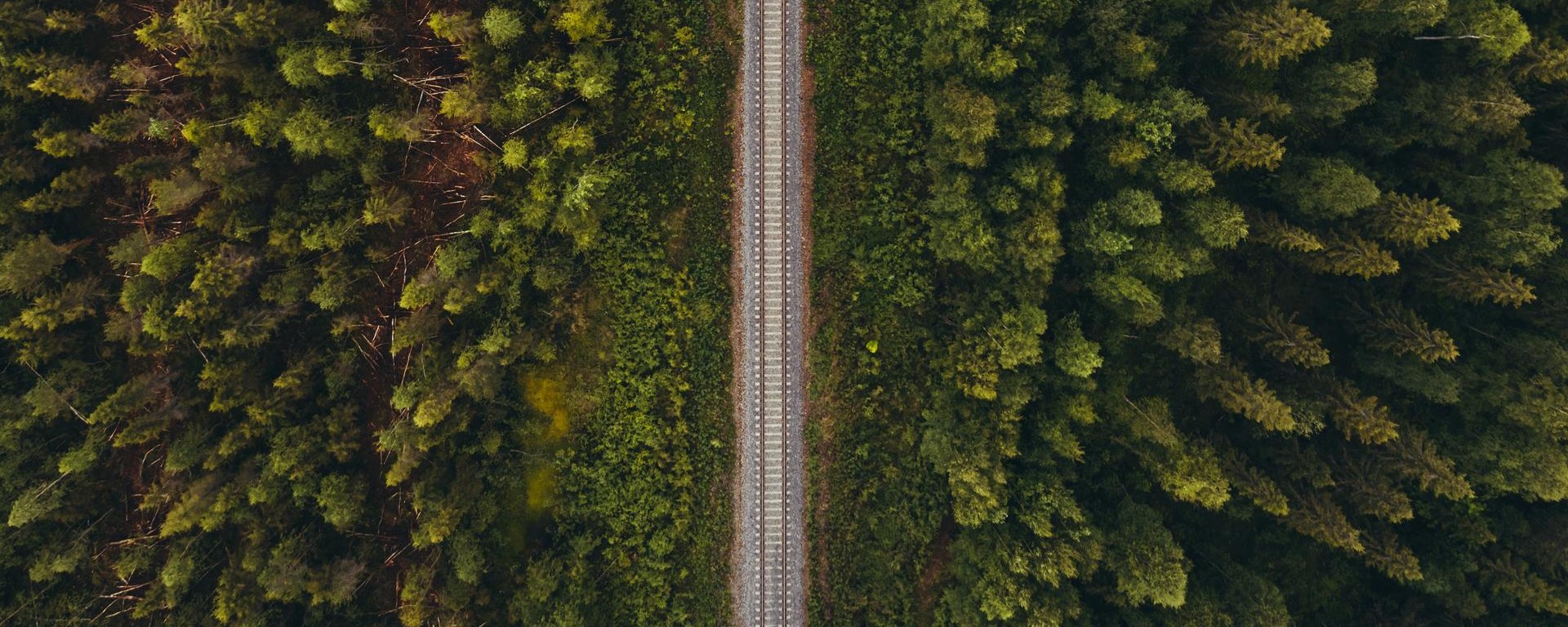 A top down view on rail tracks through a dense forest area