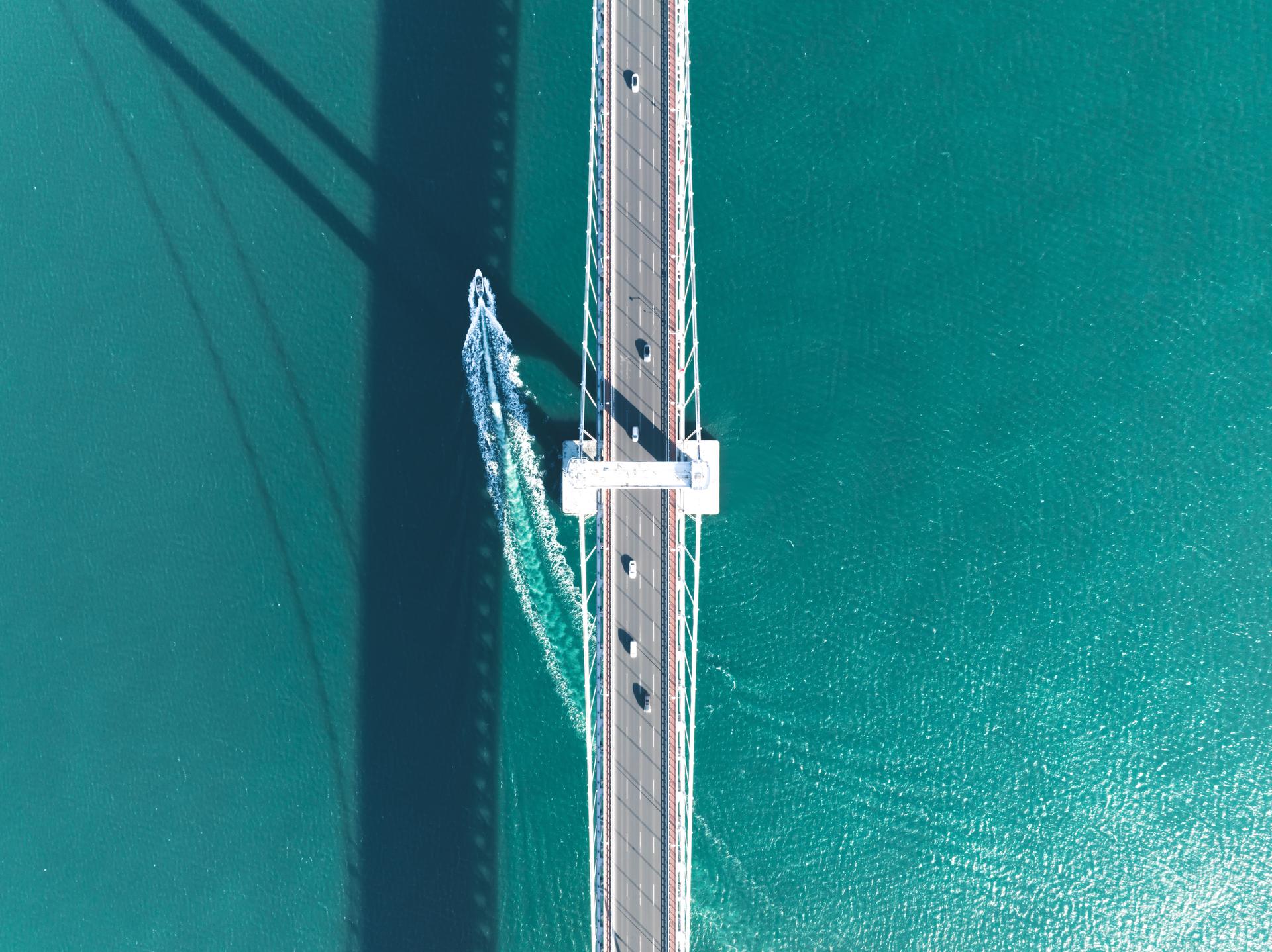 Embracing AI: a catalyst for client service and strategic growth