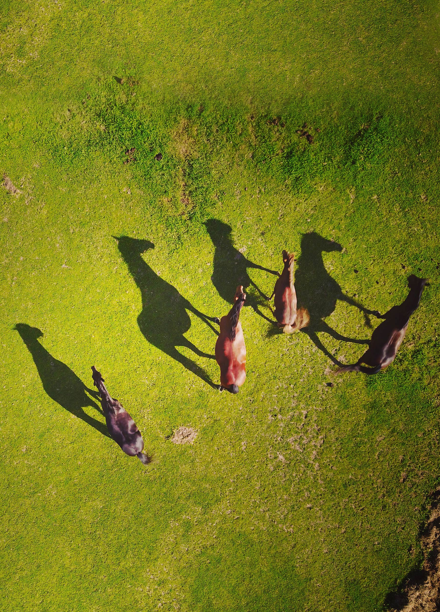 Of carrots and sticks