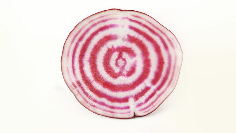 un-budget-simulation_article-teaser_800x450px