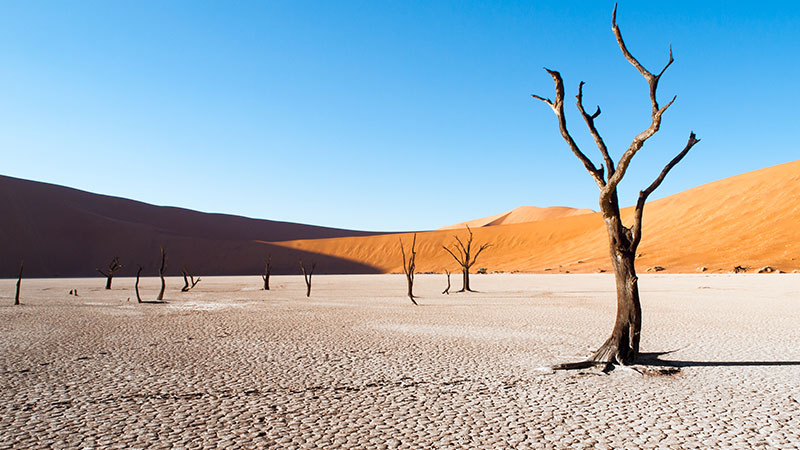 wasser-sparen-in-der-wasserkrise-hilft-gegen-klimawandel_artikel-teaser_800x450px_c