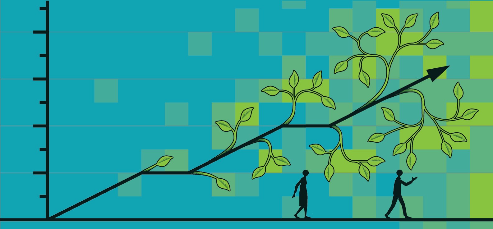 Transition finance: navigating complexity