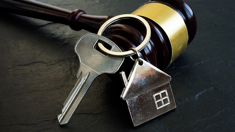 Inheritance law revision: new quotas and compulsory shares