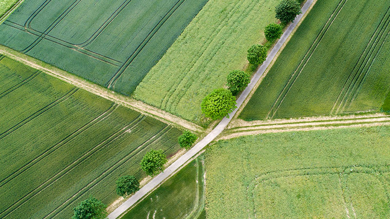 Grünes Land aus der Vogelperspektive symboisiert die berufliche Vorsorge (BVG21)