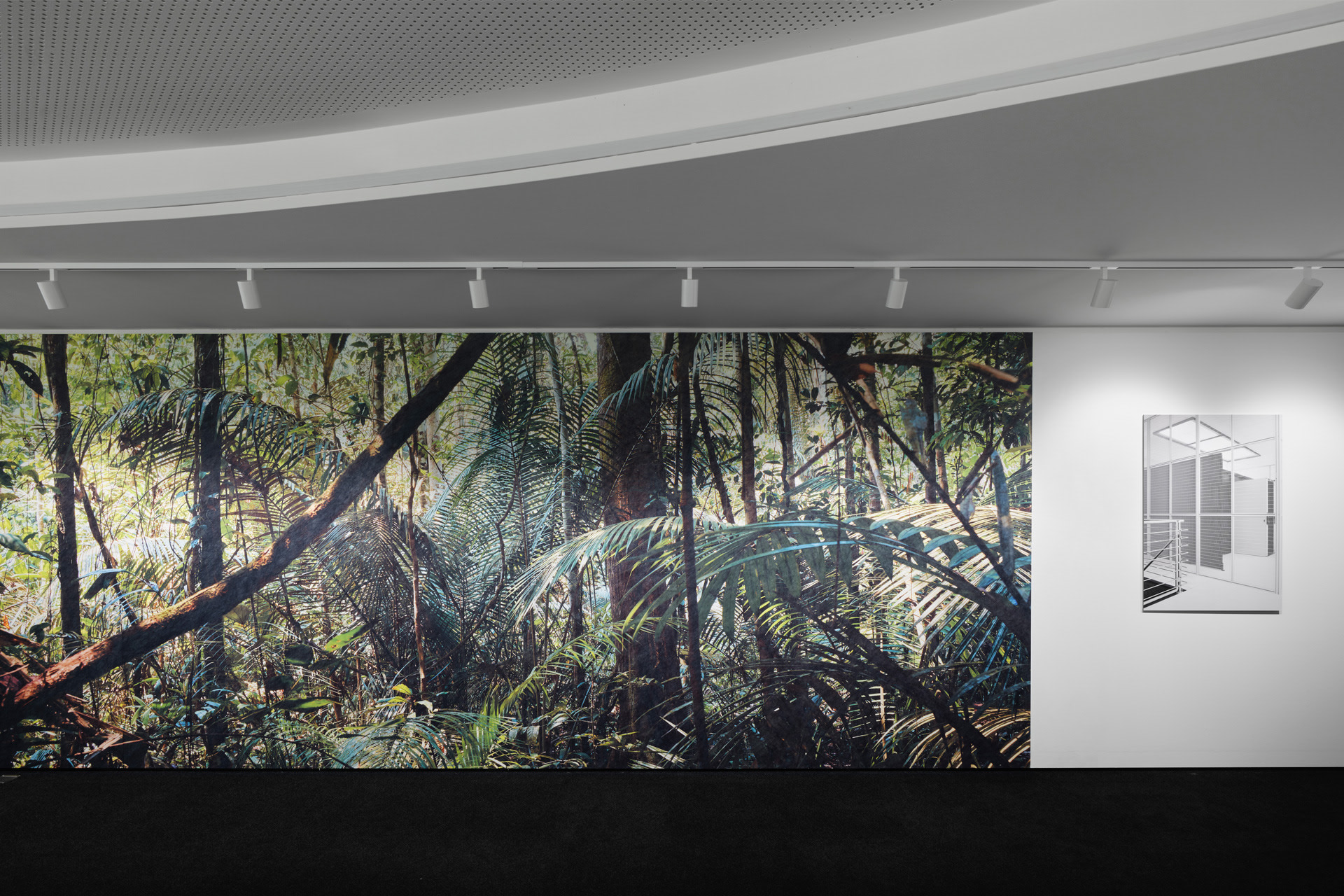 Artwork by Emidio Battipaglia for A New Gaze 4, where a symbiosis between nature (rainforest) and modern technology is created.