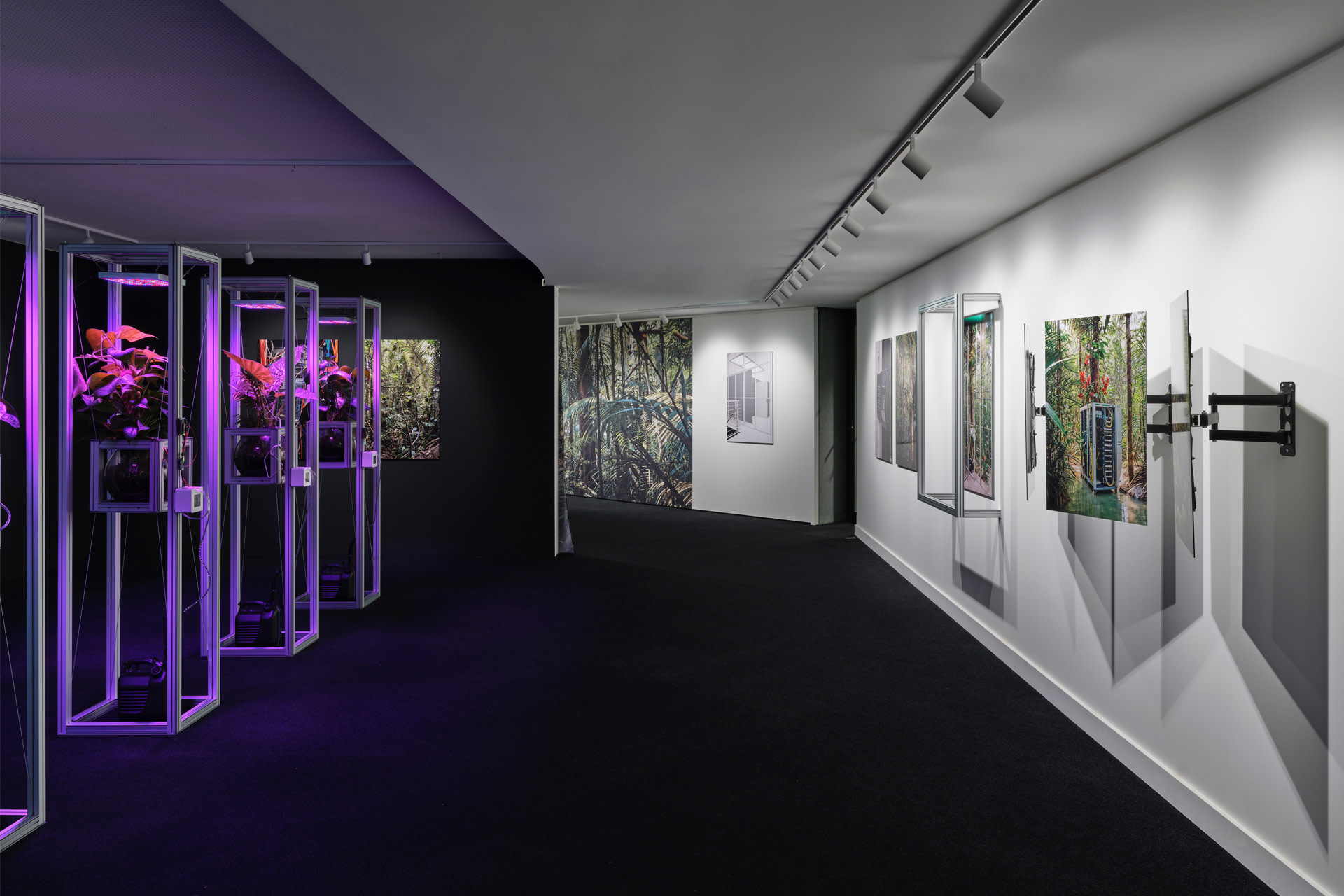 Ein Bild der Kunstausstellung A New Gaze 4 mit Emidio Battipaglia.