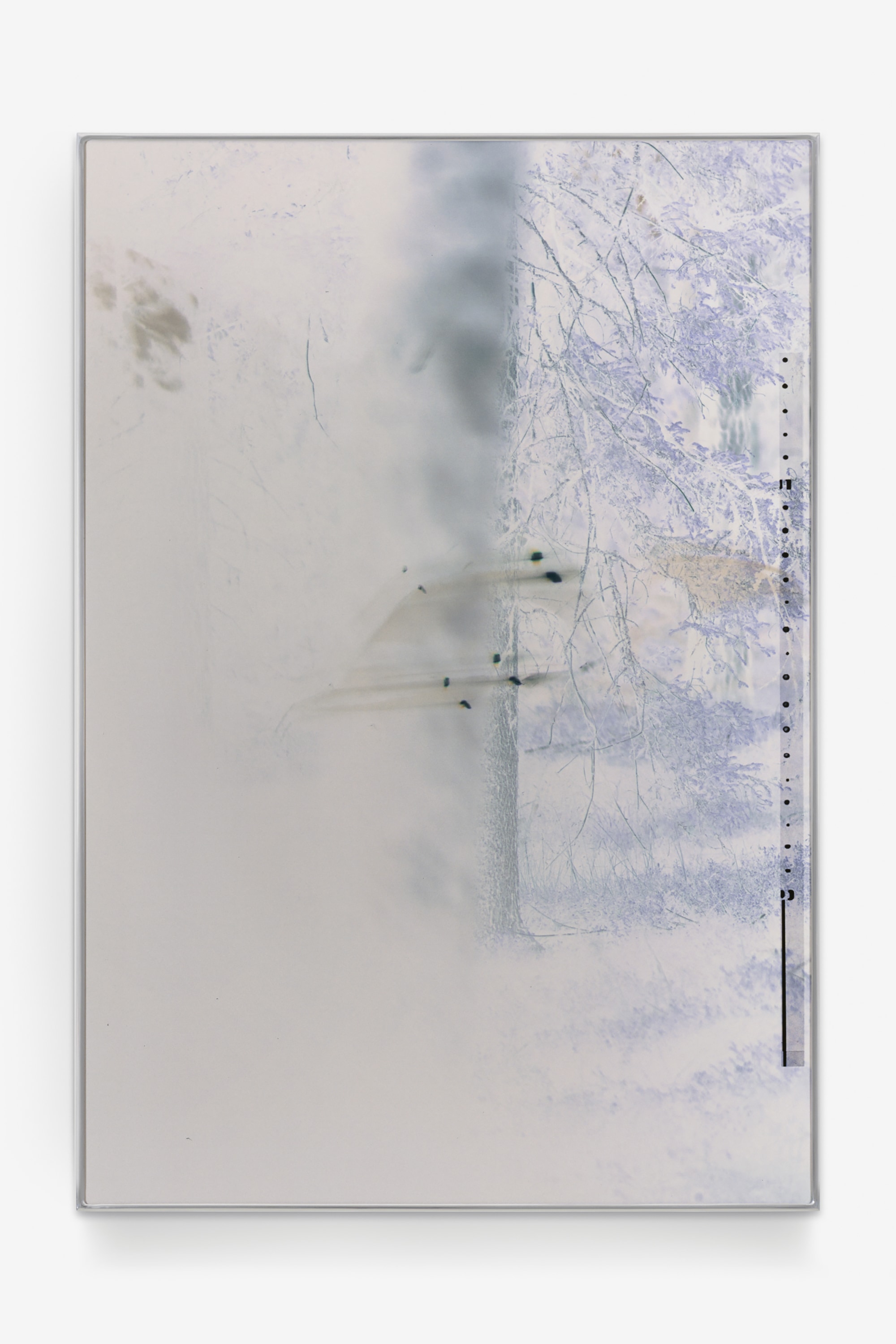 Stylized negative rendering of a pale blue and white forest scene with soft tree outlines and abstract markings