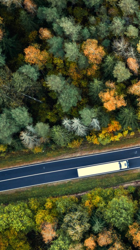 Narrow portrait sized tile with glimpse top-down on a forest with a road and a truck