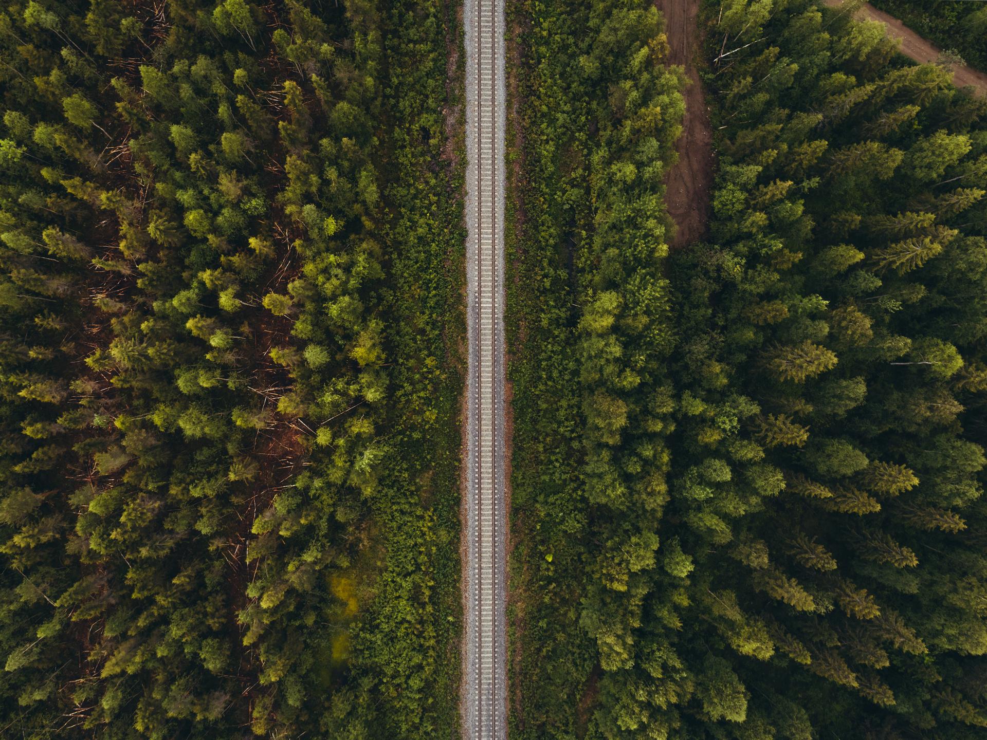 A top down view on rail tracks through a dense forest area