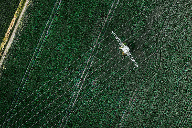 Farm field with power lines