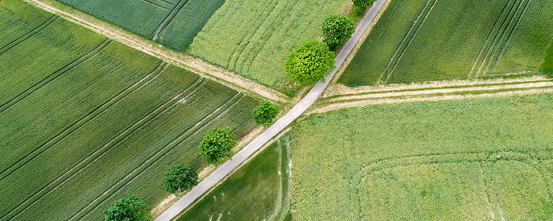 A bird's eye view of green land symbolizes the occupational benefit scheme (BVG21)