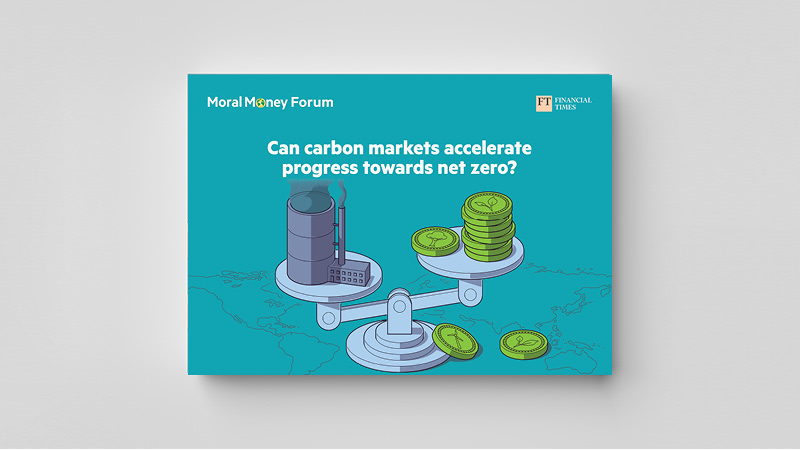 Fighting the good fight: The role of carbon markets