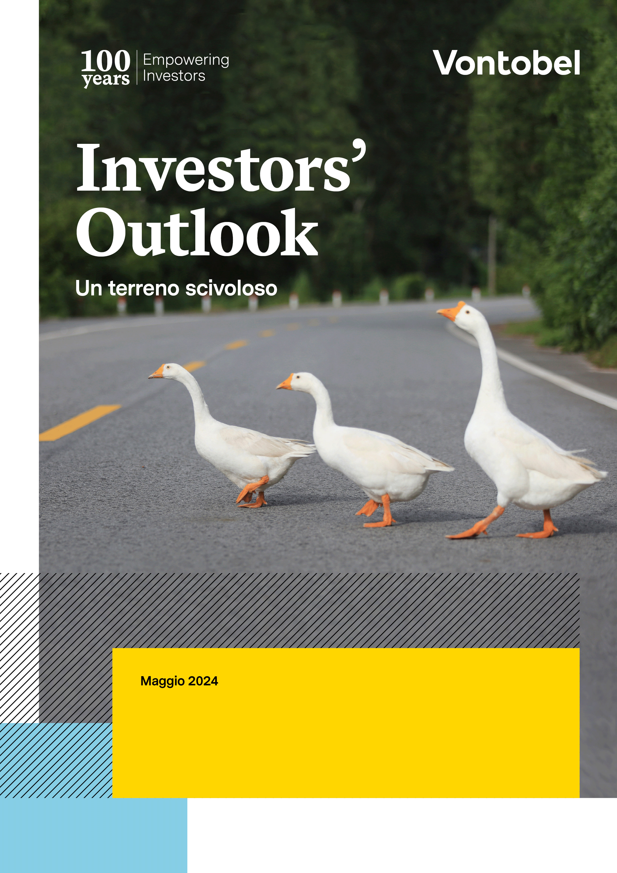 Investor's Outlook di maggio di Vontobel - Copertina PDF con oche che attraversano una strada