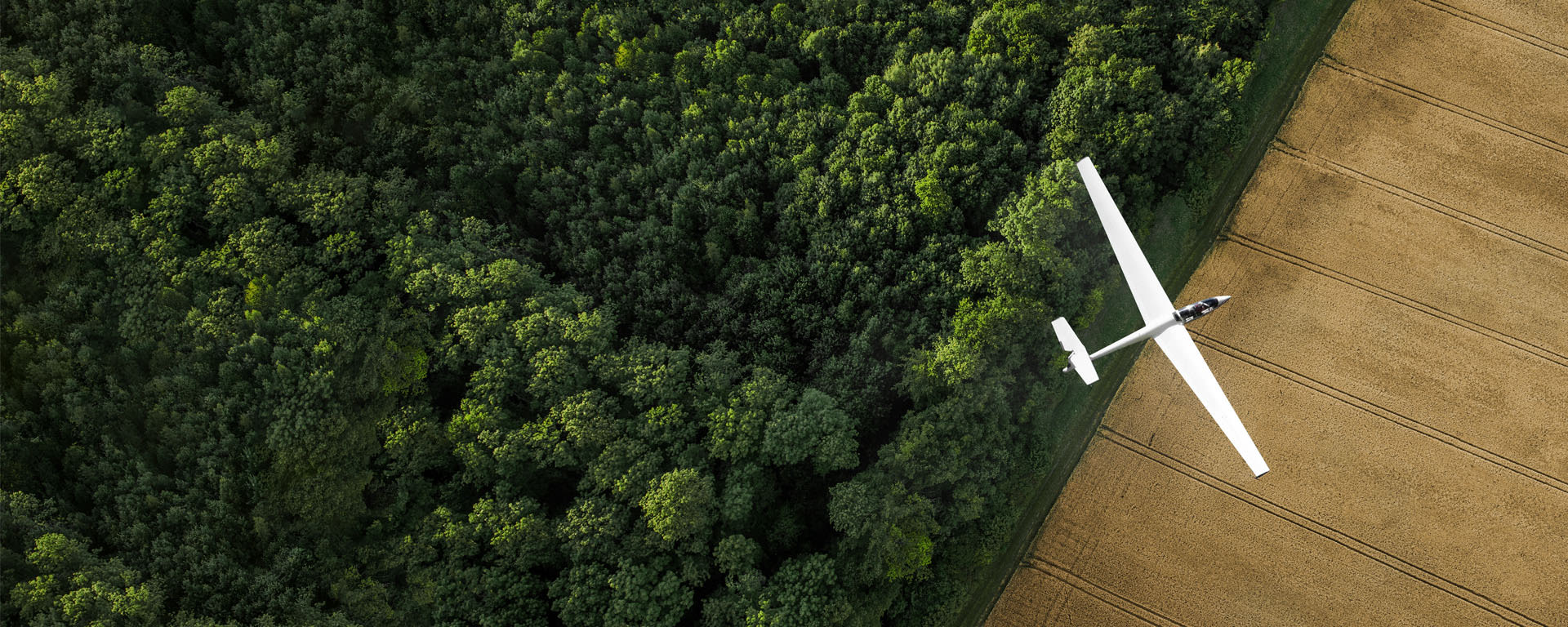 Private Markets bei Vontobel - Vogelperspektive eines Modellflugzeugs, welches über einen Wald fliegt