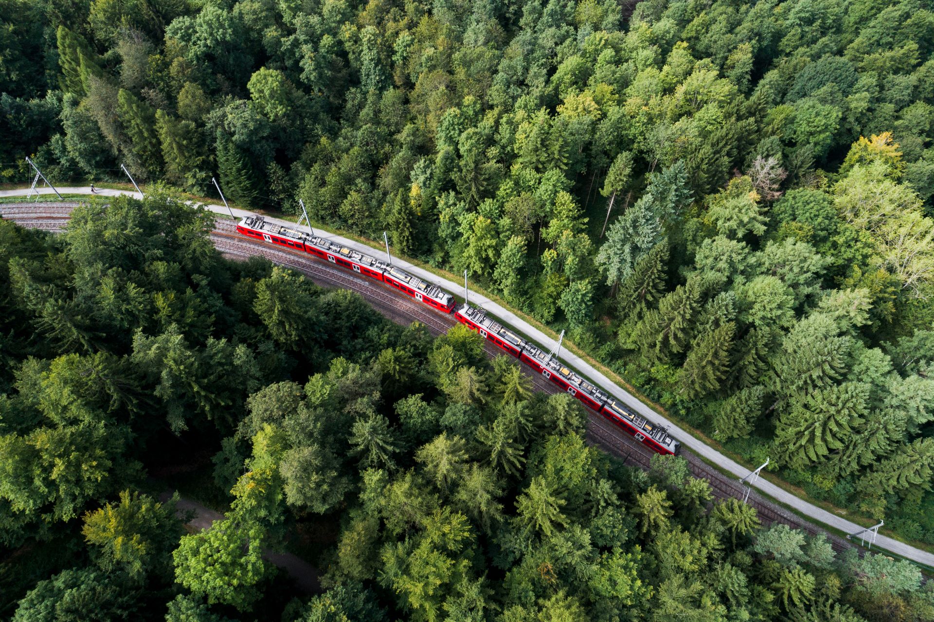 Un treno rosso viaggia sui binari attraverso un bosco.